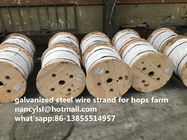 Hotsfarm Galvanized Steel Wire Strand For Europe And American Markets